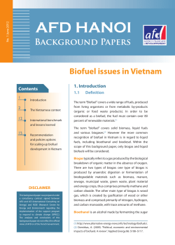 Biofuel issues in Vietnam Contents