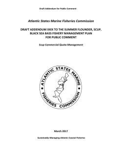 Commercial Quota Management - Atlantic States Marine Fisheries