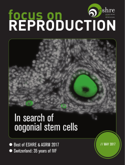 In search of oogonial stem cells