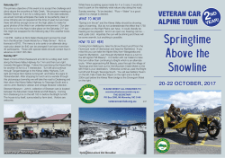 Springtime Above the Snowline