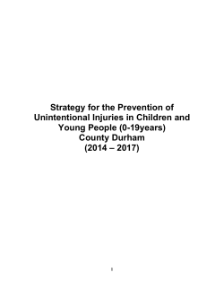 Appendix 2 - Unintentional Injury Prevention Strategy , item 12. PDF