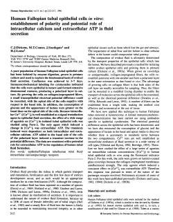 Human Fallopian tubal epithelial cells in vitro