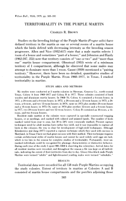 TERRITORIALITY IN THE PURPLE MARTIN