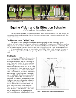 Equine Vision and Its Effect on Behavior
