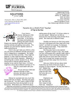 Parents Are a Child`s First Teacher