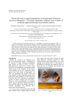 Genetic diversity in natural populations of neogastropod, Babylonia