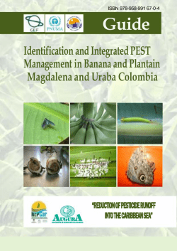 Identification and Integrated PEST Management in Banana and