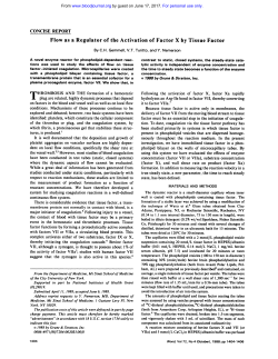Flow as a Regulator of the Activation of Factor X by