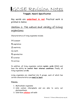 IGCSE Revision Notes