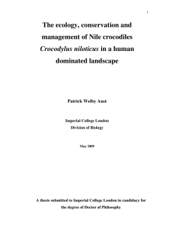 Crocodiles in NE Namibia Patrick Aust Thesis 2009
