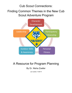 Cub Scout Connections: Finding Common Themes in the New Cub