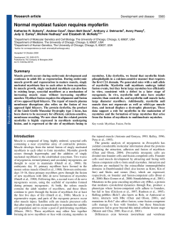 Normal myoblast fusion requires myoferlin - Development