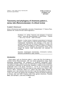 Taxonomy and phylogeny of anemone patens