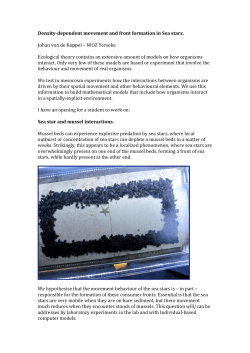 Density-dependent movement and front formation in Sea stars