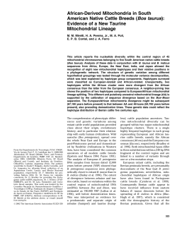African-Derived Mitochondria in South American Native Cattle Breeds