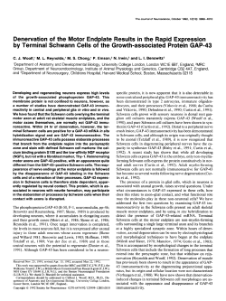 Denervation of the Motor Endplate Results in the