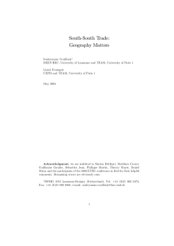 South-South Trade: Geography Matters - HEC Lausanne