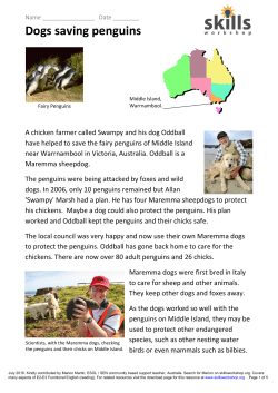 Dogs saving penguins