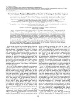 An Evolutionary Analysis of Lateral Gene Transfer in Thymidylate