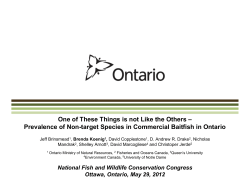 One of These Things is not Like the Others &ndash; Prevalence of Non