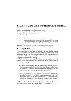 image filtering using morphological amoebas