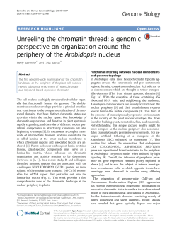 Unreeling the chromatin thread: a genomic