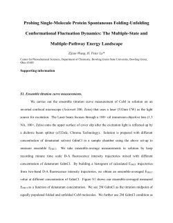 Probing Single-Molecule Protein Spontaneous Folding