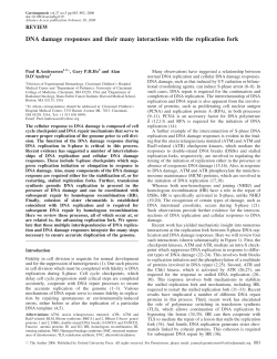 DNA damage responses and their many