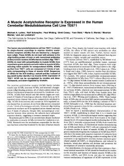 A Muscle Acetylcholine Receptor Is Expressed in the Human