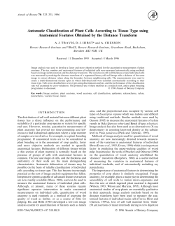 Automatic Classification of Plant Cells According