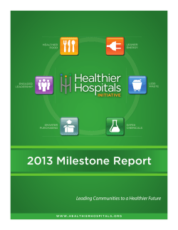 2013 Milestone Report - Healthier Hospitals Initiative