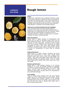 Rough lemon - Chislett Developments