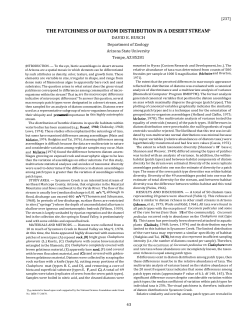 the patchiness of diatom distribution in a desert stream