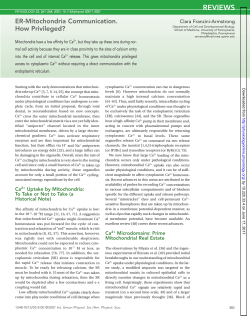 ER-Mitochondria Communication. How Privileged?