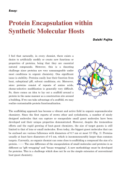 Protein Encapsulation within Synthetic Molecular Hosts