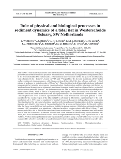 Role of physical and biological processes in sediment dynamics of a