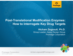 Post-Translational Modification Enzymes: How to Interrogate Key