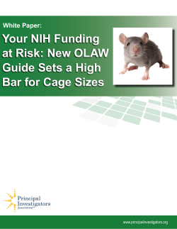 Your NIH Funding at Risk: New OLAW Guide Sets a High Bar for