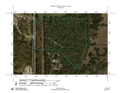 Soil Map&mdash;Hernando County, Florida (Soils map