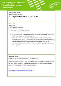 Ecology- Food Web, Food Chain.