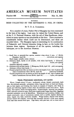 american museum novitates - AMNH Library Digital Repository