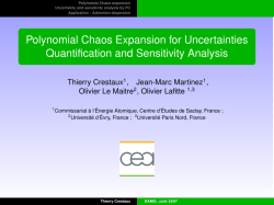 Polynomial Chaos Expansion for Uncertainties Quantification and