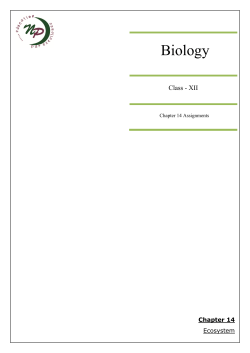Chapter 14 (Ecosystem)