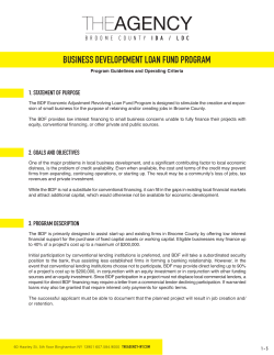 BUSINESS DEVELOPEMENT LOAN FUND PROGRAM