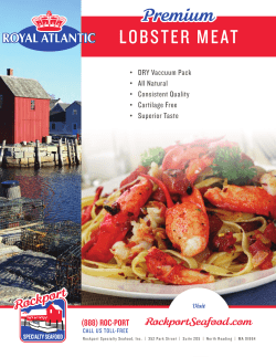 lobster meat - Rockport Specialty Seafood