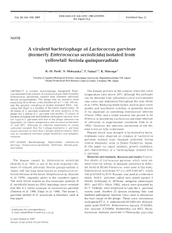 Full text in pdf format