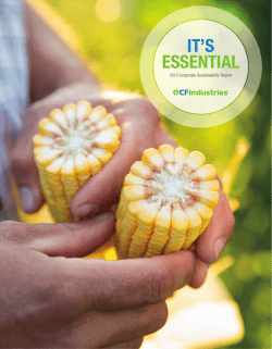 2013 CF Industries Corporate Sustainability Report