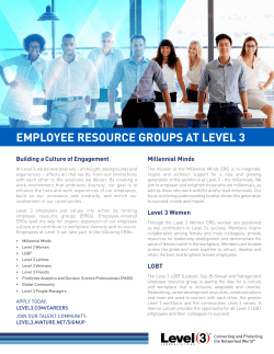 employee resource groups at level 3