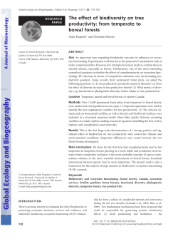 The effect of biodiversity on tree productivity: from temperate to