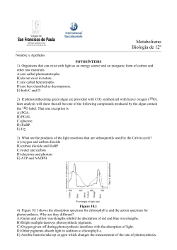 3&ordm; ESO Criterio C SUMATIVO